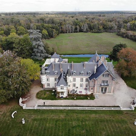Chateau De La Faye Menetreol-sur-Sauldre Bagian luar foto