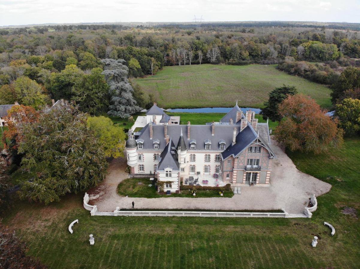 Chateau De La Faye Menetreol-sur-Sauldre Bagian luar foto