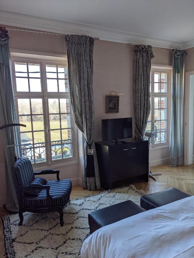 Chateau De La Faye Menetreol-sur-Sauldre Bagian luar foto