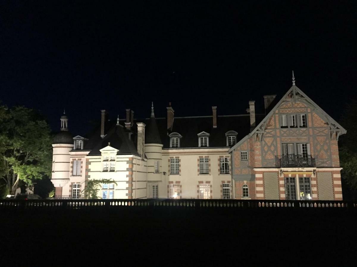 Chateau De La Faye Menetreol-sur-Sauldre Bagian luar foto