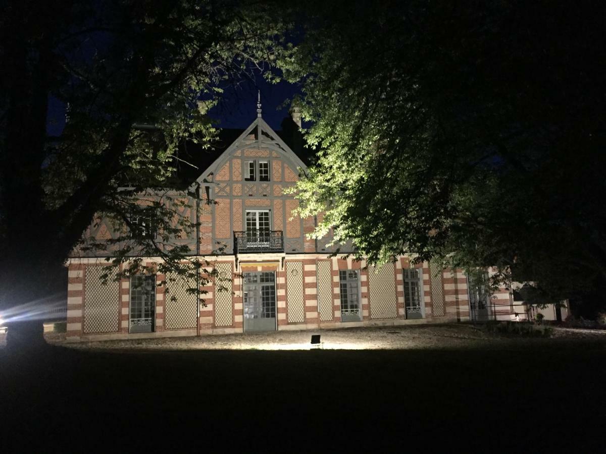Chateau De La Faye Menetreol-sur-Sauldre Bagian luar foto