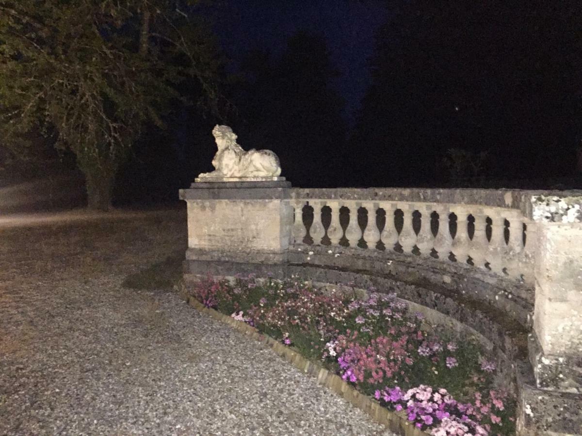 Chateau De La Faye Menetreol-sur-Sauldre Bagian luar foto